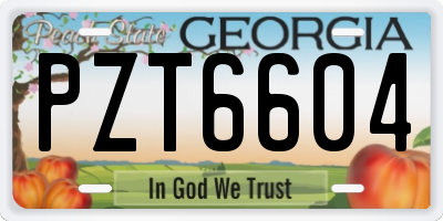 GA license plate PZT6604