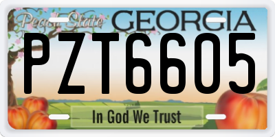 GA license plate PZT6605