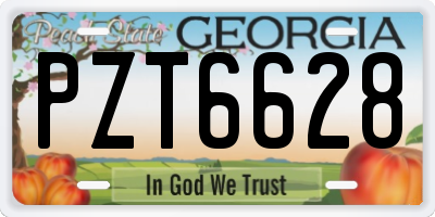 GA license plate PZT6628