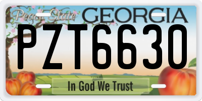 GA license plate PZT6630