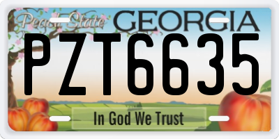 GA license plate PZT6635