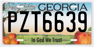 GA license plate PZT6639