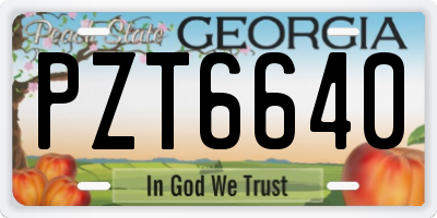 GA license plate PZT6640