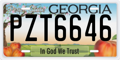 GA license plate PZT6646