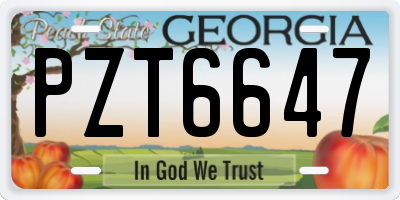 GA license plate PZT6647