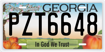 GA license plate PZT6648