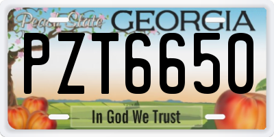 GA license plate PZT6650