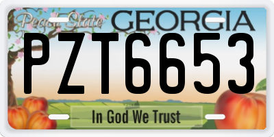 GA license plate PZT6653