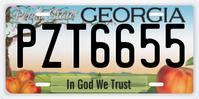 GA license plate PZT6655