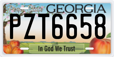 GA license plate PZT6658