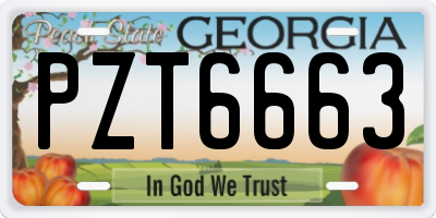 GA license plate PZT6663