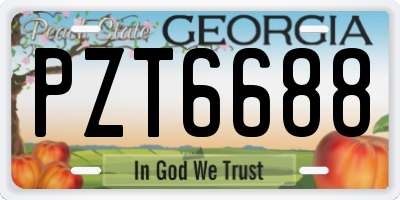 GA license plate PZT6688