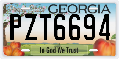 GA license plate PZT6694