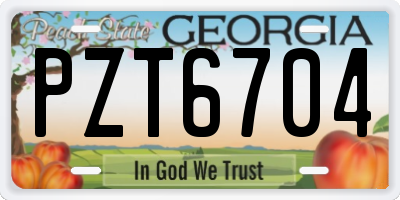 GA license plate PZT6704