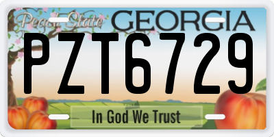 GA license plate PZT6729
