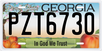 GA license plate PZT6730