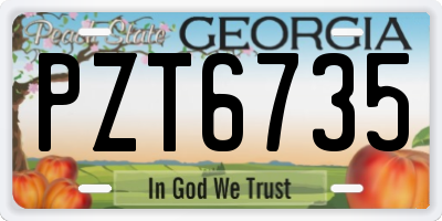 GA license plate PZT6735