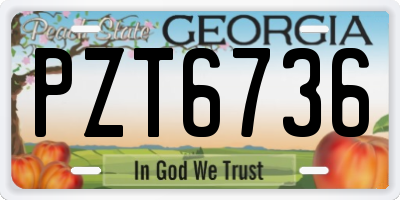 GA license plate PZT6736