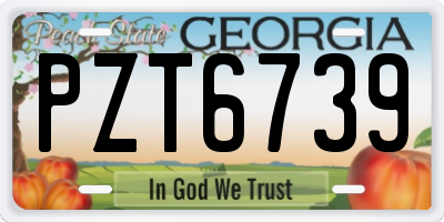 GA license plate PZT6739