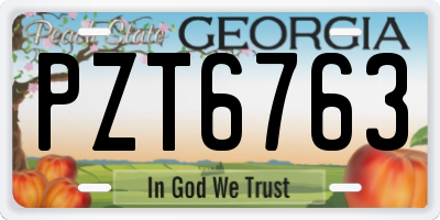 GA license plate PZT6763