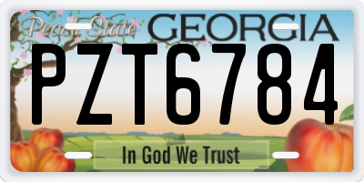 GA license plate PZT6784