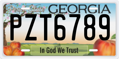 GA license plate PZT6789