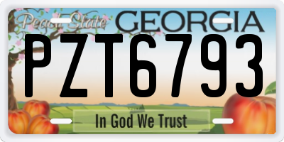 GA license plate PZT6793