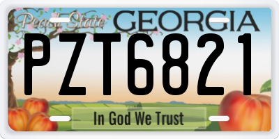 GA license plate PZT6821