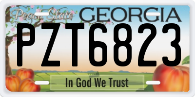 GA license plate PZT6823