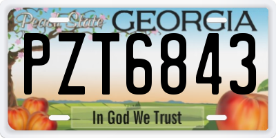 GA license plate PZT6843
