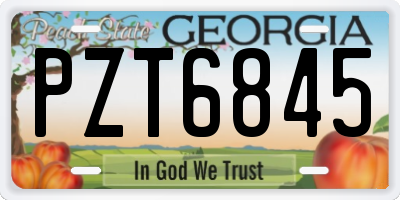 GA license plate PZT6845
