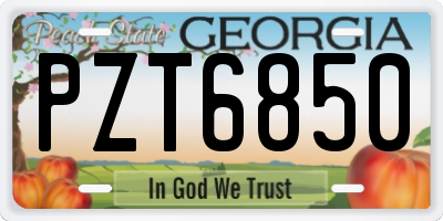 GA license plate PZT6850