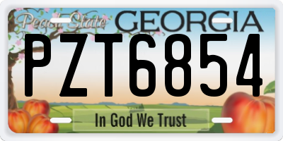 GA license plate PZT6854
