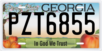 GA license plate PZT6855
