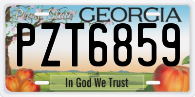 GA license plate PZT6859