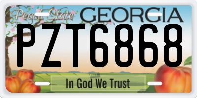 GA license plate PZT6868