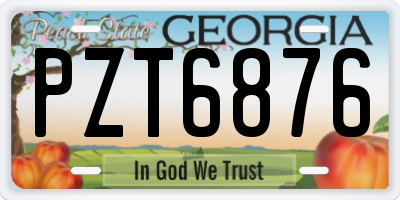 GA license plate PZT6876