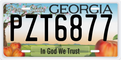 GA license plate PZT6877