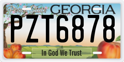 GA license plate PZT6878