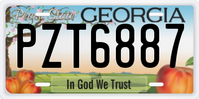 GA license plate PZT6887