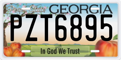 GA license plate PZT6895
