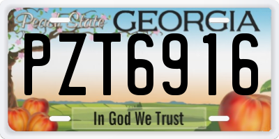GA license plate PZT6916