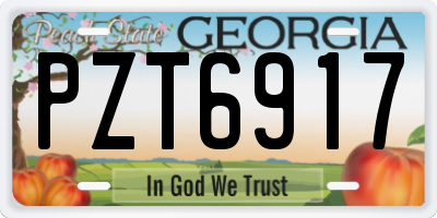 GA license plate PZT6917