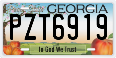 GA license plate PZT6919