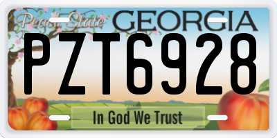 GA license plate PZT6928
