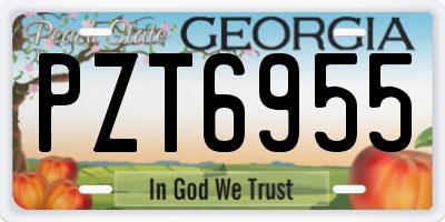 GA license plate PZT6955