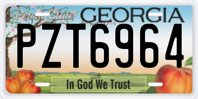 GA license plate PZT6964