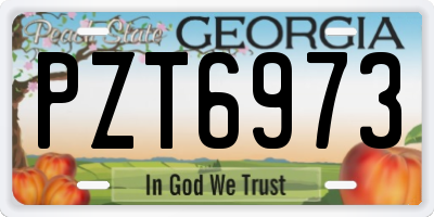 GA license plate PZT6973