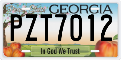 GA license plate PZT7012