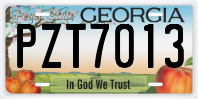 GA license plate PZT7013